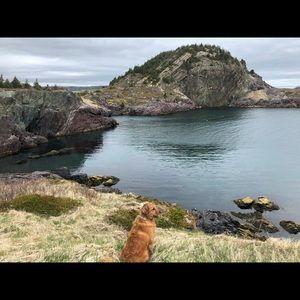 Meet your Posher, Samantha